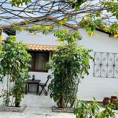 Casa Tua Pipa Apartment Praia de Pipa Ngoại thất bức ảnh