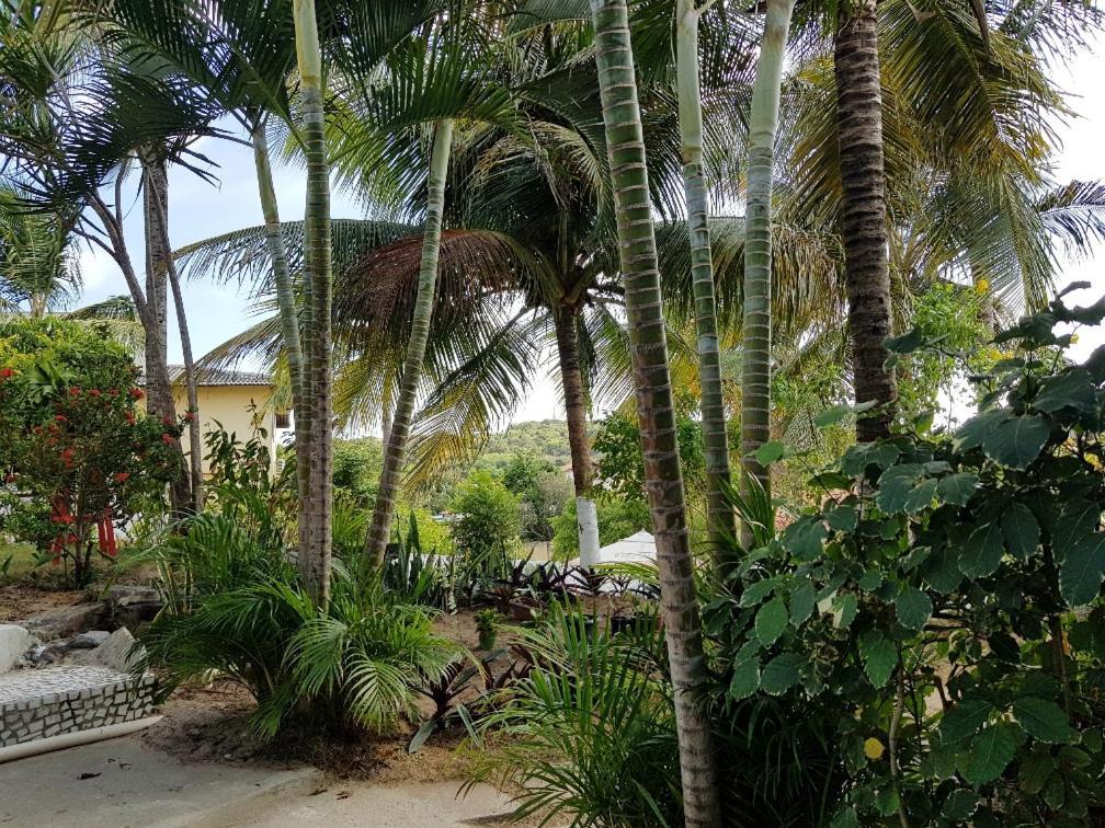 Casa Tua Pipa Apartment Praia de Pipa Ngoại thất bức ảnh