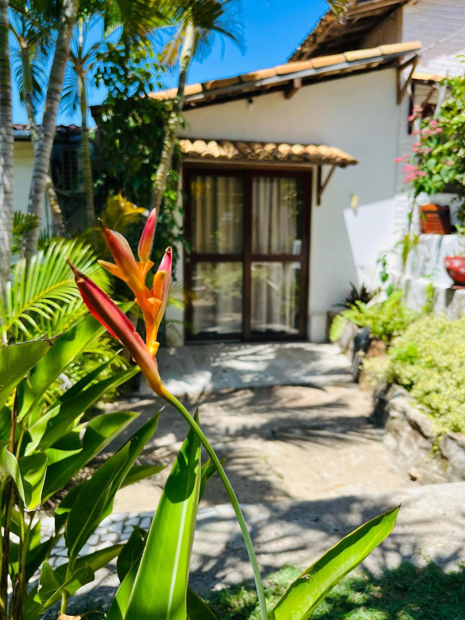 Casa Tua Pipa Apartment Praia de Pipa Ngoại thất bức ảnh