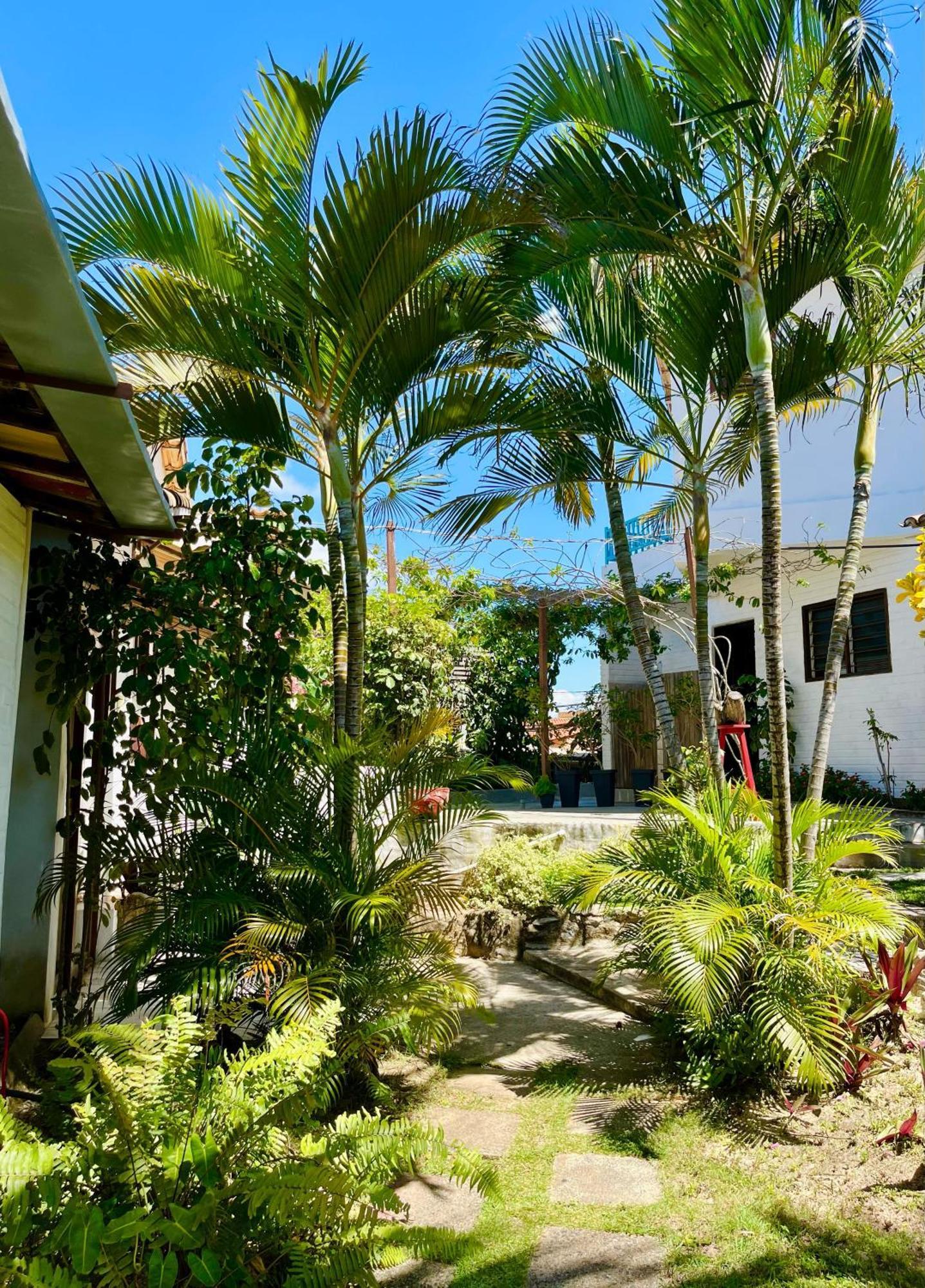 Casa Tua Pipa Apartment Praia de Pipa Ngoại thất bức ảnh