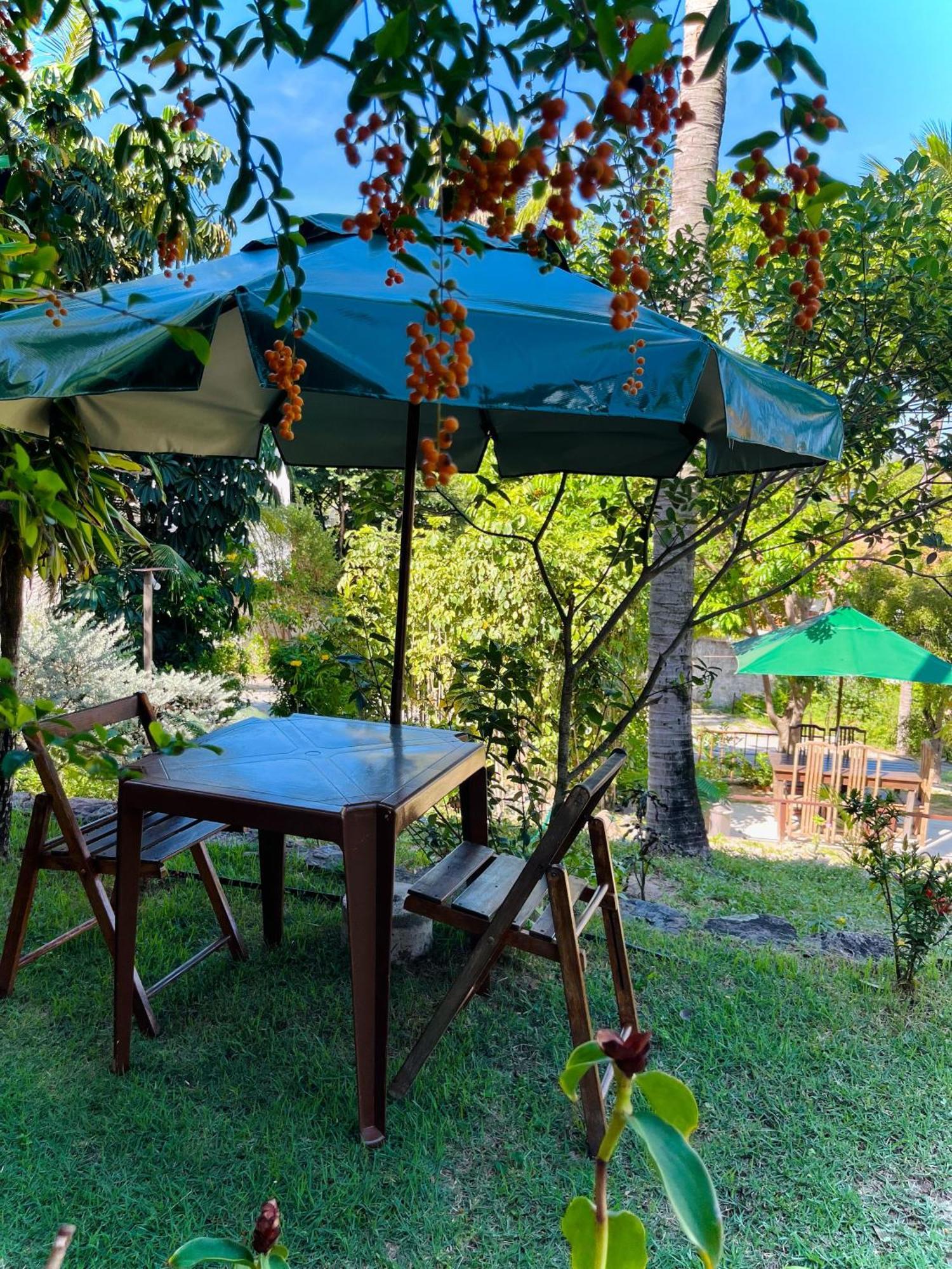 Casa Tua Pipa Apartment Praia de Pipa Ngoại thất bức ảnh